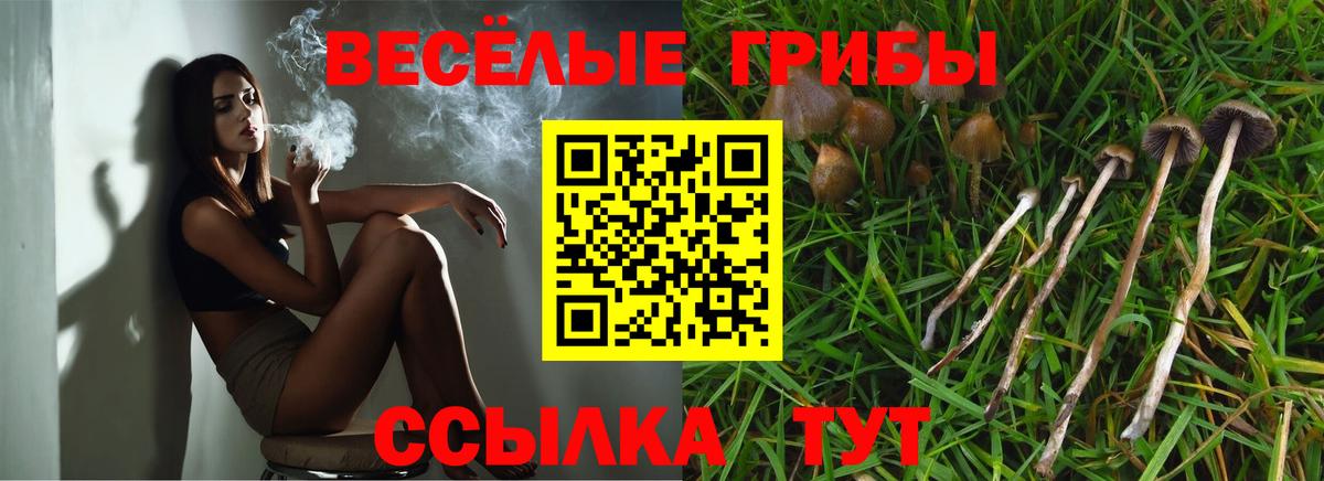 Галлюциногенные грибы Magic Shrooms  Галлюциногенные грибы Psilocybe  Воронеж  Вход с VPN 